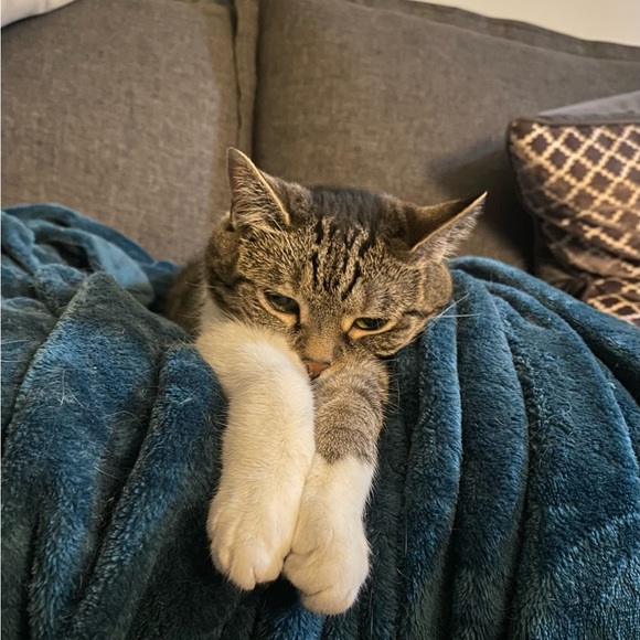 Meet your Posher, Jessie! - Picture 4 of 5